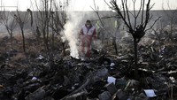 Asap mengepul dari puing-puing pesawat Ukraine International Airlines. AP Photo/Ebrahim Noroozi.