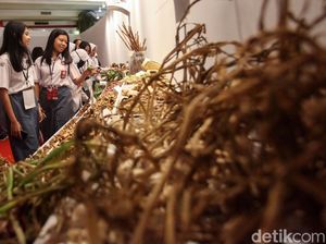 Belajar Mengenal Rempah-rempah di Rakernas PDIP