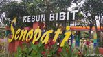 Foto: Kebun Bibit Senopati nan Instagramable di Magelang