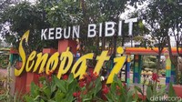 Lokasi Kebun Bibit Senopati berada di Jalan Senopati, Kota Magelang. Untuk mencapainya pun sangat mudah sekali (Eko Susanto/detikcom)  