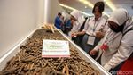 Belajar Mengenal Rempah-rempah di Rakernas PDIP