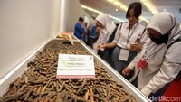 Cabe jamu berhasil menyita perhatian para pelajar.