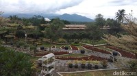 Masuk ke kawasan ini pun masih gratis. Nantinya pengunjung bisa melihat jenis tanaman yang ada (Eko Susanto/detikcom)