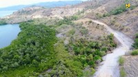 Jalan lintas utara Flores tersebut meliputi ruas Labuan Bajo-Terang-Pelabuhan Bari-Kedindi dengan panjang keseluruhan 141 km. Kondisi jalan tersebut kini telah beraspal sepanjang 18 km. Istimewa/Kementerian PUPR.