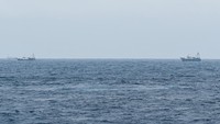 Sejumlah kapal nelayan pukat China yang melakukan penangkapan ikan di ZEE Indonesia Utara Pulau Natuna, Sabtu (11/1/2020) dini hari. ANTARA FOTO/M Risyal Hidayat.