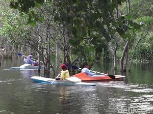 6 Rekomendasi Wisata Kece di Banyuwangi, Mulai Pantai hingga Air Terjun