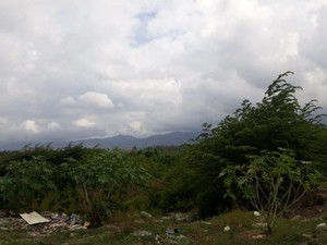 Setahun Berlalu, Lokasi Likuifaksi di Petobo Jadi Hutan-Tempat Cari Besi