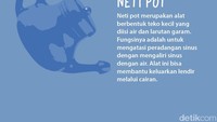 Neti pot merupakan alat berbentuk teko kecil yang diisi air dan larutan garam. Fungsinya adalah untuk mengatasi peradangan sinus dengan mengaliri sinus dengan air. Alat ini bisa membantu keluarkan lendir melalui cairan. Foto: infografis detikHealth