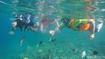 Foto: Surga Bawah Laut Pulau Karampuang di Mamuju