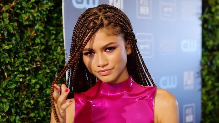 SANTA MONICA, CALIFORNIA - JANUARY 12: Zendaya attends the 25th Annual Critics Choice Awards at Barker Hangar on January 12, 2020 in Santa Monica, California. (Photo by Emma McIntyre/Getty Images)