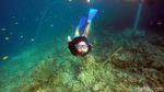 Foto: Surga Bawah Laut Pulau Karampuang di Mamuju