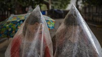 Dua orang warga menggunakan plastik untuk melindungi diri dari hujan abu yang muncul akibat aktivitas dari Gunung Api Taal yang mengalami peningkatan.