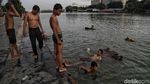 Danau Sunter Terus Berbenah untuk Warga Jakarta
