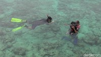 Kekayaan alam bawah laut Pulau Karampuang memang jadi magnet tersendiri buat wisatawan. (Foto: Abdy Febriady/detikcom)