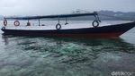 Foto: Surga Bawah Laut Pulau Karampuang di Mamuju