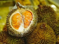 Tak Kalah Nikmat, Ini 5 Durian dari Luar Jawa yang Manis Legit!