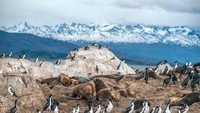 Keberadaannya sangat penting karena gletser bertindak sebagai cadangan air tawar yang besar, menyuburkan tanaman, dan melestarikan hewan di seluruh Patagonia (Foto: iStock)