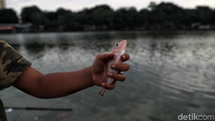 Danau Sunter di Jakarta Utara terus berbenah untuk kenyamanan warga. Saat ini telah dibangun trotoar serta spot memancing bagi warga.