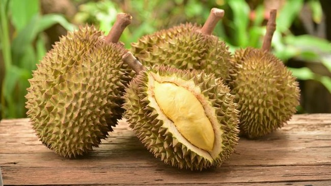 Musim Durian Tiba, Ini 5 Durian Unggulan Nusantara yang Istimewa