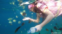 Ikan-ikan di Pulau Karampuang biasa berenang dengan berkelompok dan senantiasa mendekat saat akan diberi makan. Jadi makin asyik! (Foto: Abdy Febriady/detikcom)