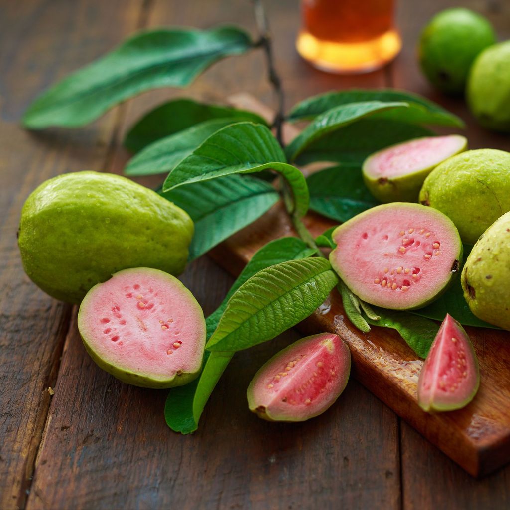 jambu biji