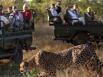 Ngeri! Keamanan Taman Nasional Kruger Diperketat, Ada 2 Turis Diduga Dibunuh