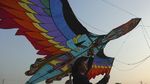 Melihat Lagi  Festival Layang-Layang di Dunia