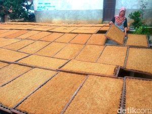 Takut Kena Dampak, Petani Minta Pemerintah Tak Naikkan Cukai Rokok 2022
