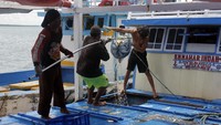 Sejumlah pedagang mengaku harga ikan laut mengalami kenaikan 50 hingga 200 persen dari bulan lalu karena telah memasuki bulan terang dan cuaca ekstrim di wilayah Kepala Burung, Papua Barat bagian utara. ANTARA FOTO/Olha Mulalinda Sejumlah pedagang mengaku harga ikan laut mengalami kenaikan 50 hingga 200 persen dari bulan lalu karena telah memasuki bulan terang dan cuaca ekstrim di wilayah Kepala Burung, Papua Barat bagian utara. ANTARA FOTO/Olha Mulalinda