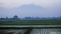 Beberapa hari terkhir ini, hujan hanya sesekali turun di kawasan tersebut. Itu pun dengan intensitas kecil di sore hari.