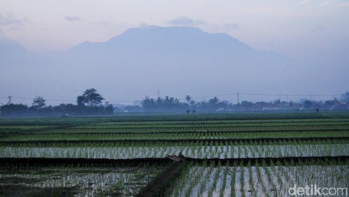 Cuaca pagi hari di wilayah Kabupaten Bandung, Jawa Barat cerah. Matahari pun terbit dengan indah.