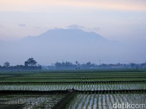 Prakiraan Cuaca Bandung, Rabu 30 Agustus 2023: Cerah Berawan