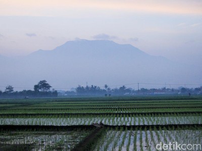 Pagi Sejuk, Siang Terik: Ini Cuaca Bandung Senin 31 Agustus 2026