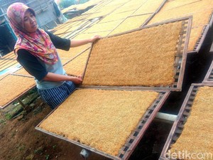 Produksi Tembakau RI Melimpah, Bagaimana Peluang Ekonominya?
