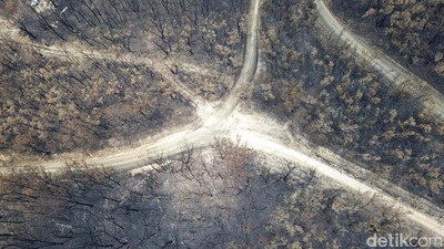 Potret dari Udara Sisa Kebakaran Hutan di Australia