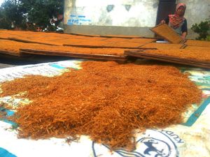 Ada Kabar Tarif Cukai Rokok Mau Naik, Apa Kata Petani?
