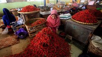 Harga cabai mengalami kenaikan di Pasar Beringharjo, Yogyakarta. Cabai merah besar naik dari Rp 40 ribu per kg menjadi Rp 55 ribu per kg, cabai kriting dari Rp 35 ribu per kg menjadi Rp 45 ribu per kg, dan cabai rawit dari Rp 35 ribu per kg menjadi Rp 55 ribu per kg. Harga cabai naik karena minimmya pasokan dari petani akibat tingginya curah hujan. Antara Foto/Andreas Fitri Atmoko.