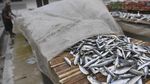 Produksi Ikan Asin Turun Imbas Musim Hujan