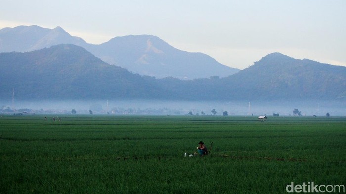 Cuaca pagi hari di wilayah Kabupaten Bandung, Jawa Barat cerah. Matahari pun terbit dengan indah.