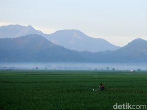 Prakiraan Cuaca Bandung, Sabtu 9 September 2023: Cerah Berawan