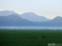 Prakiraan Cuaca Bandung Selasa 2 September 2025: Cerah Seharian