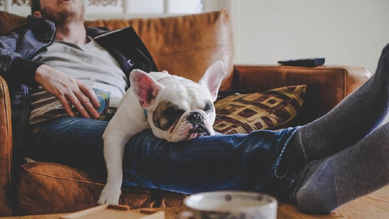 Foto: iStock Foto: iStock