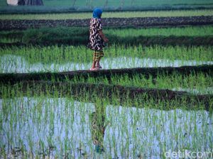 Prakiraan Cuaca Bandung, Selasa 1 Agustus 2023: Cerah Berawan