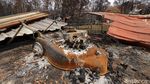Potret dari Udara Sisa Kebakaran Hutan di Australia
