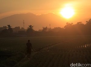 Prakiraan Cuaca Bandung, Sabtu 2 September 2023: Cerah