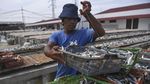 Produksi Ikan Asin Turun Imbas Musim Hujan