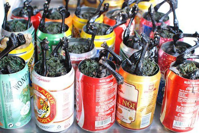 Hitam Legam, Olahan Ayam Vietnam Ini Bisa Meningkatkan Vitalitas