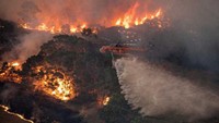 Kebakaran hutan di Australia juga menjadi catatan kelam di dunia. Dalam peristiwa itu sedikitnya menewaskan 27 orang. Foto: ABC Australia