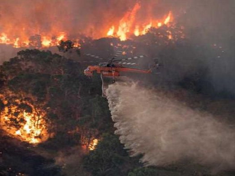Foto: ABC Australia Foto: ABC Australia
