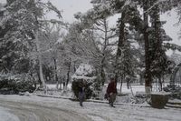 Ratusan Orang Tewas Akibat Badai Salju di Afghanistan dan Pakistan